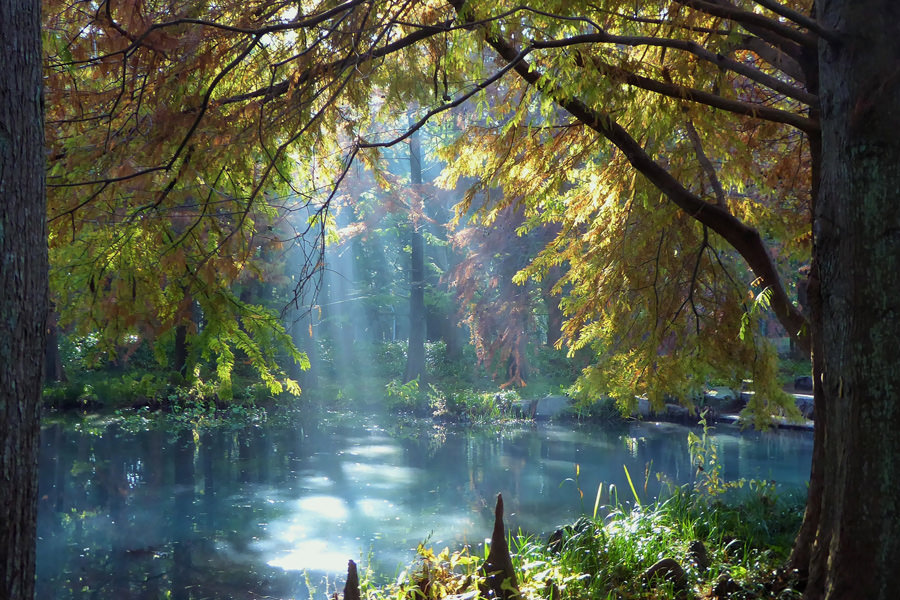 水戸市植物公園