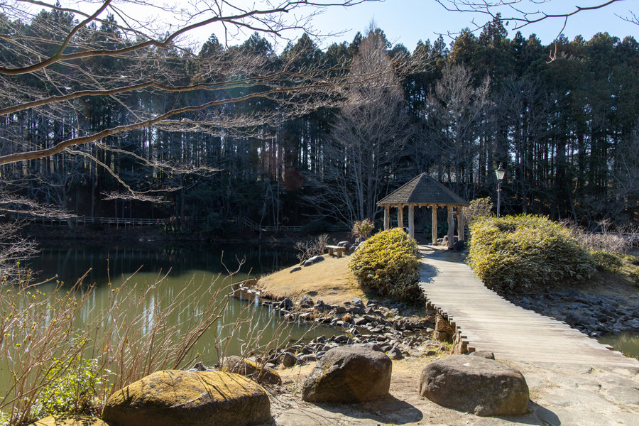 七ツ洞公園
