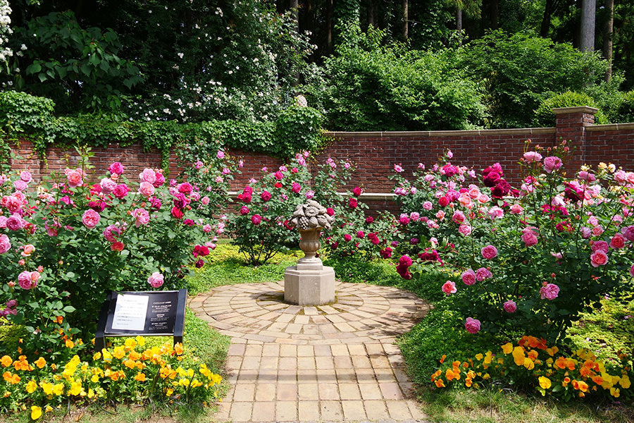 七ツ洞公園