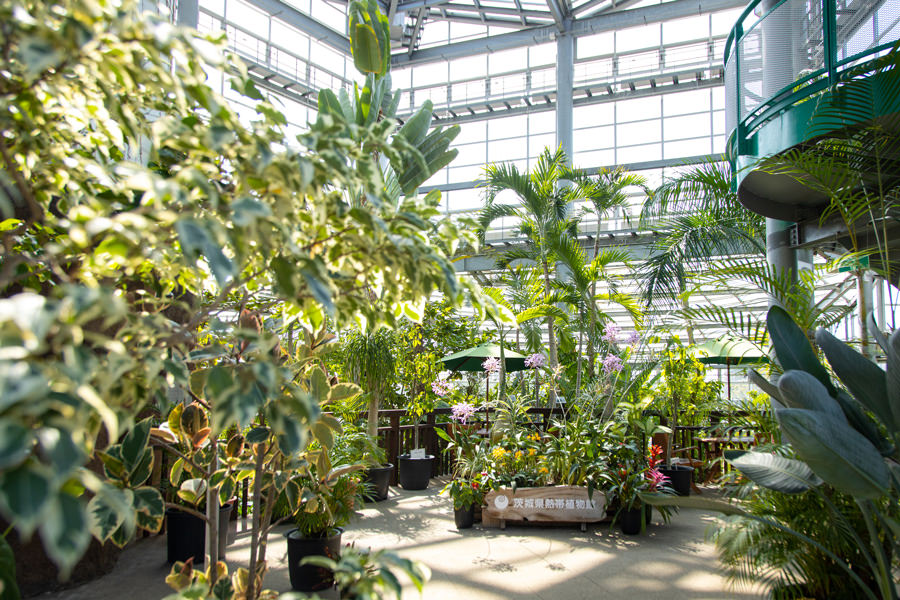 茨城県植物園