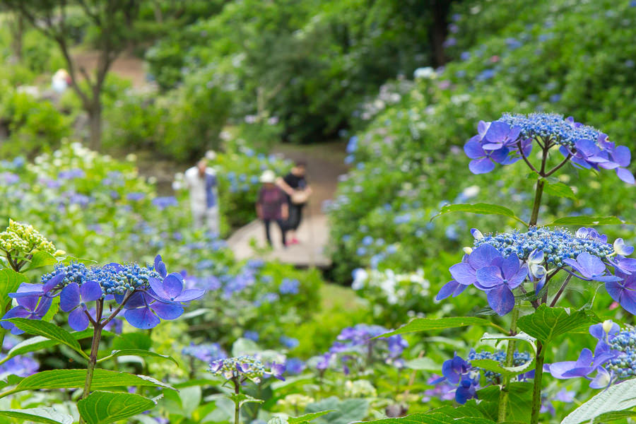 涸沼自然公園