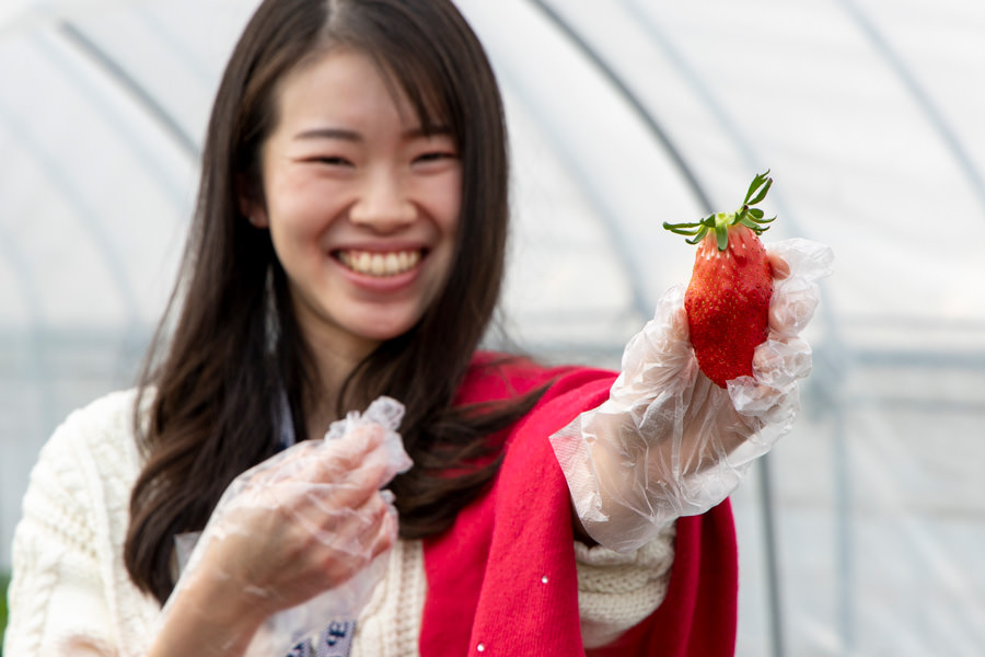 いちご狩り