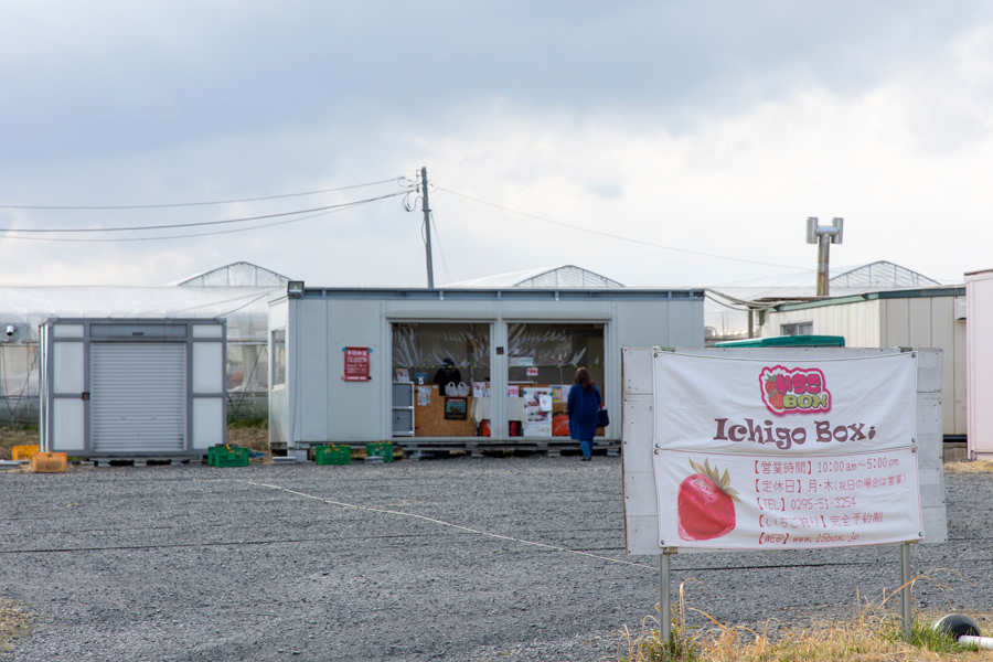 いちごBOX