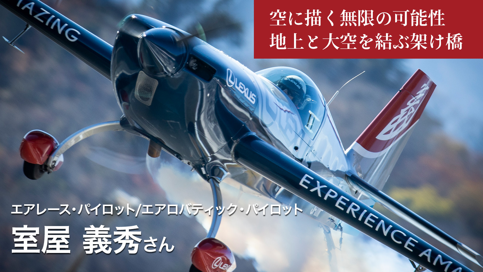 さんぽのおとも道｜旅ドキ！ひたち TRAVEPPE｜国営ひたち海浜公園周遊