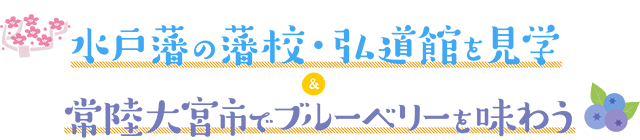 水戸藩の藩校・弘道館を見学×常陸大宮市でブルーベリーを味わう