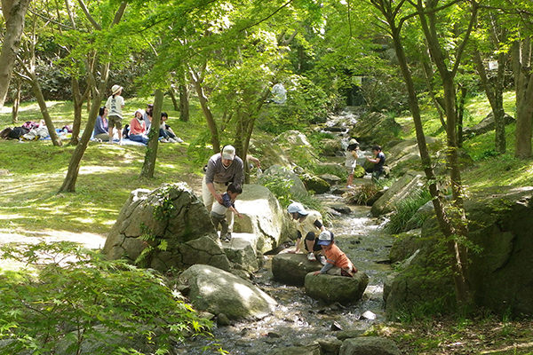 緑豊かなせせらぎ広場