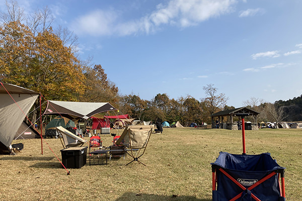 広い芝生が広がるキャンプ場