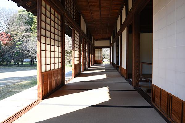 日差しが入った廊下