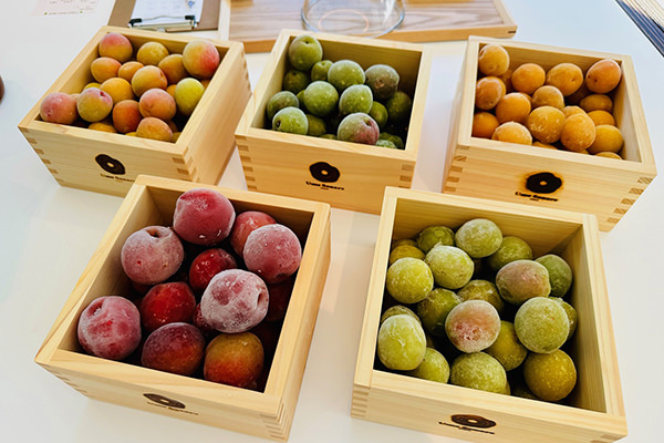 5種類の梅から選べる