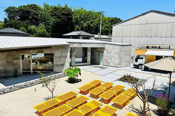 天候が良ければ、梅の天日干しの様子が見られる