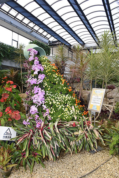 花の鉢植えがあふれ出る「花の滝」
