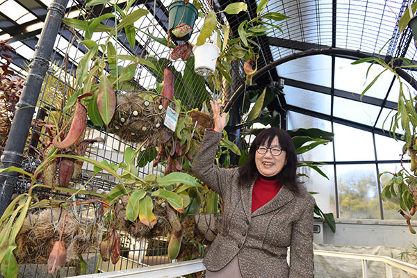 西川さん食虫植物を見て「かわいいでしょう？」