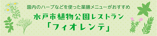 フィオレンテ