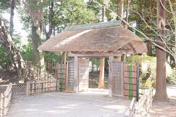 日差しが入った廊下